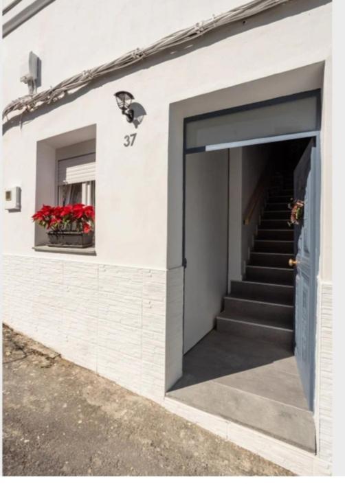 Casa Chano Estudio Confortable Tenerife Icod De Los Vinos Ngoại thất bức ảnh